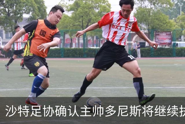 沙特足协确认主帅多尼斯将继续执教国家队